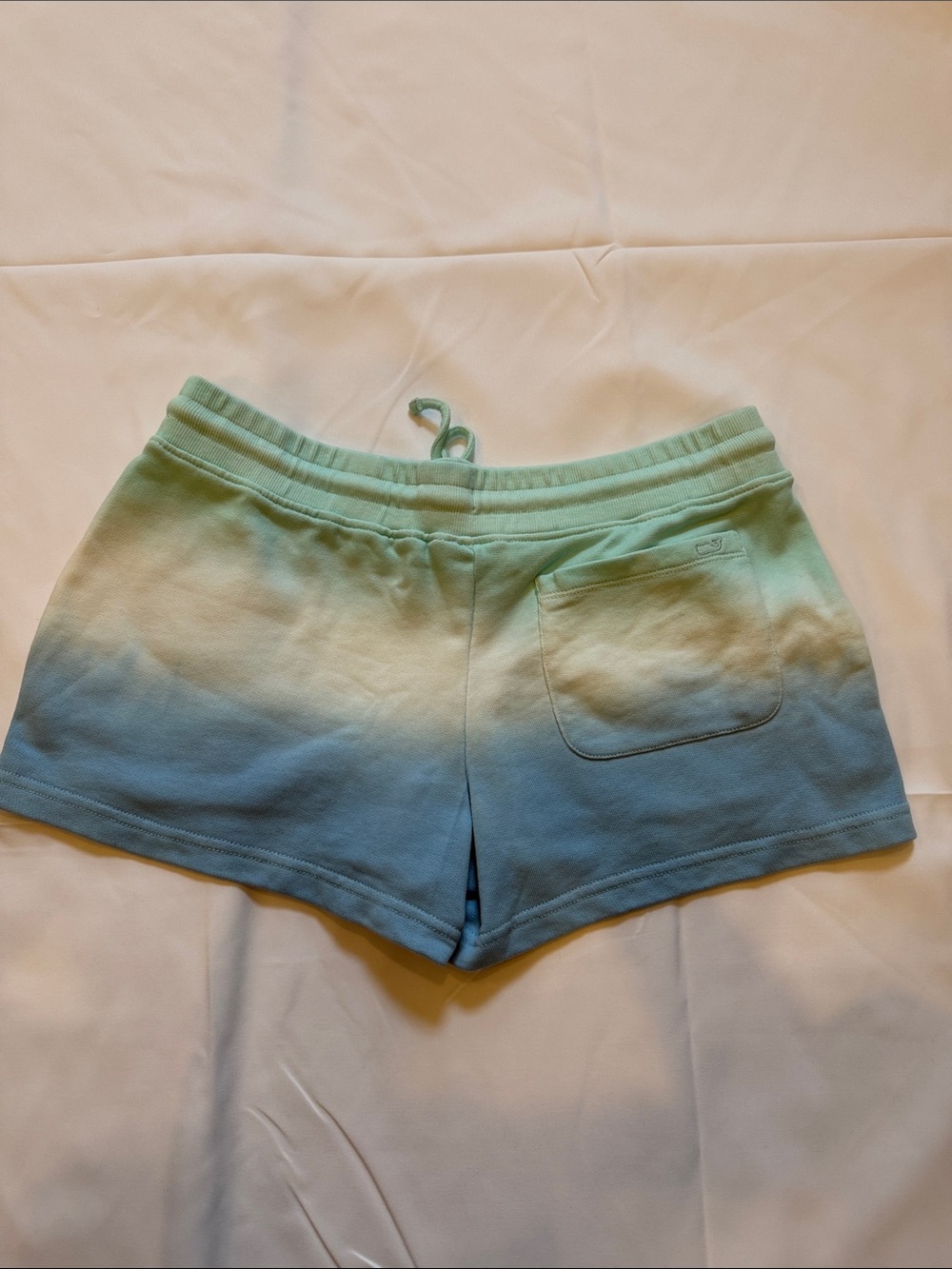 Vineyard Vines Aqua-to-Blue Gradient Athletic Shorts - Picture 2 of 9